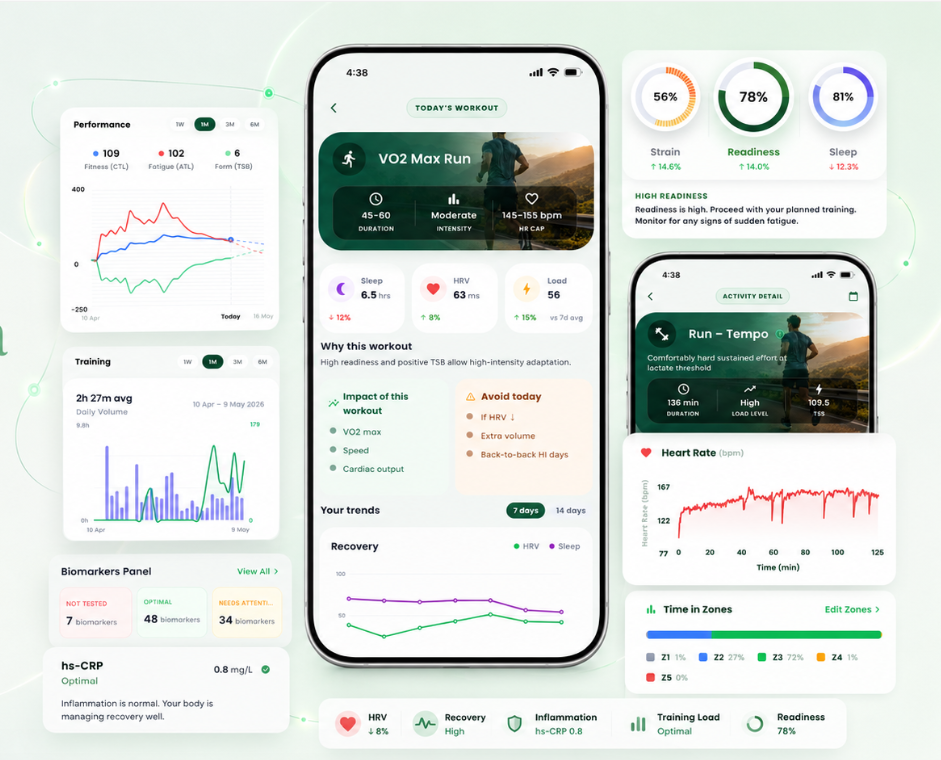 Decisions, Not Just Data